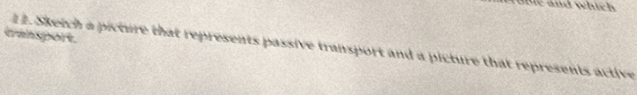 dhe and which 
transport. 
12. Sketch a picture that represents passive transport and a picture that represents active