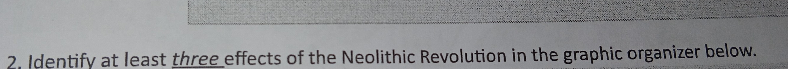 Identify at least three effects of the Neolithic Revolution in the graphic organizer below.