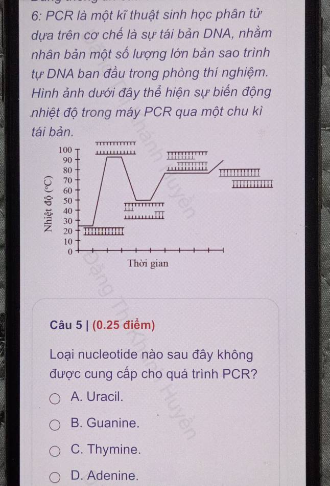 6: PCR là một kĩ thuật sinh học phân tử
dựa trên cơ chế là sự tái bản DNA, nhằm
nhân bản một số lượng lớn bản sao trình
tự DNA ban đầu trong phòng thí nghiệm.
Hình ảnh dưới đây thể hiện sự biển động
nhiệt độ trong máy PCR qua một chu kì
tái bản.
100
90
80
70
60
50
40
30
20
10
0
Thời gian
Câu 5 | (0.25 điểm)
Loại nucleotide nào sau đây không
được cung cấp cho quá trình PCR?
A. Uracil.
B. Guanine.
C. Thymine.
D. Adenine.