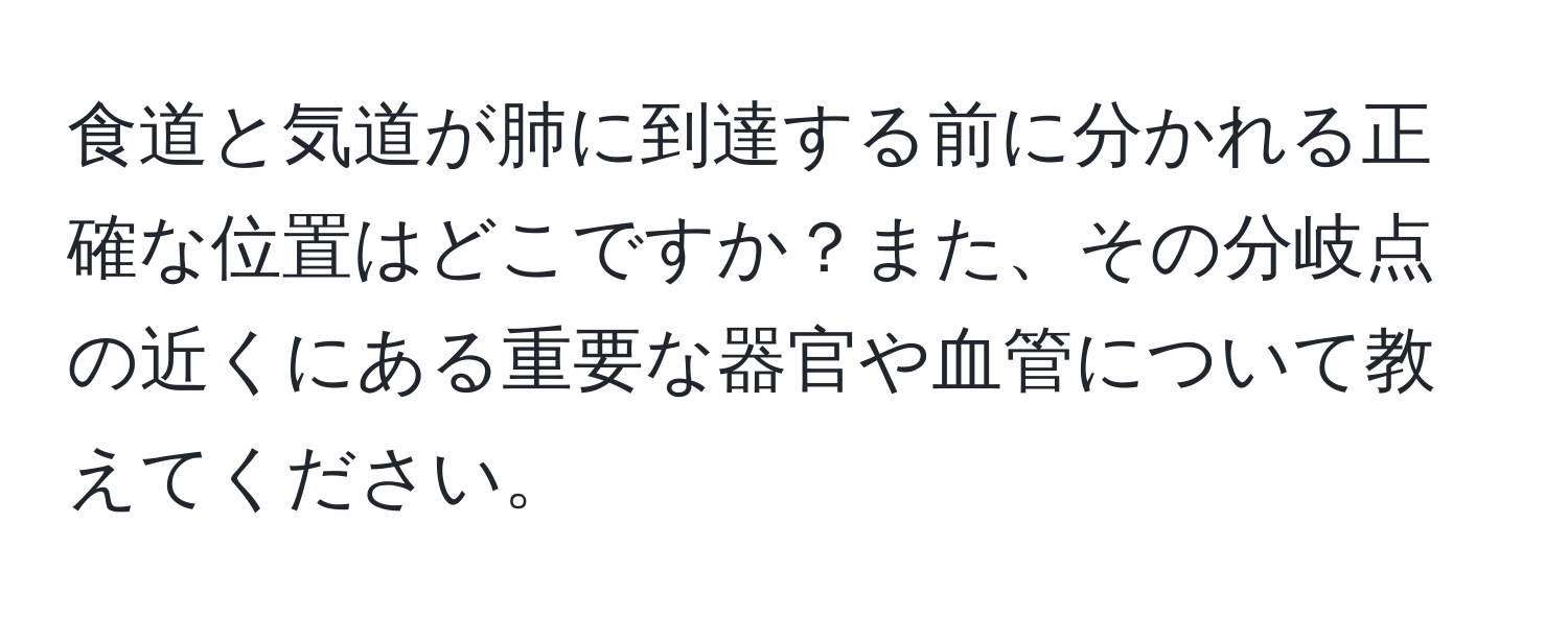 食道と気道が肺に到達する前に分かれる正確な位置はどこですか？また、その分岐点の近くにある重要な器官や血管について教えてください。