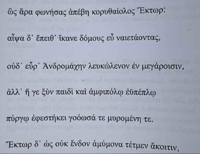 Φς άρα φωνήσας ἀπέβη κορυθαίολος ΚΕκτωρ
αἰγα δὶ ξπειθὶ ίκανε δόμους εὐ ναιετάοντας,
υύδλ εὐρὶ Ανδρομάχην λευκώλενον ἐν μεγάροισιν,
άλλ² ή γε ξὸν παιδὶ καὶ ἀμφιπόλφ ἐυπέπλφ 
τύργφ ἐφεστήκει γοόωσά τε μυρομένη τε. 
"Εκτωρ δό ώς ούκ ξνδον ἀμύμονα τέτμεν άκοιτιν,