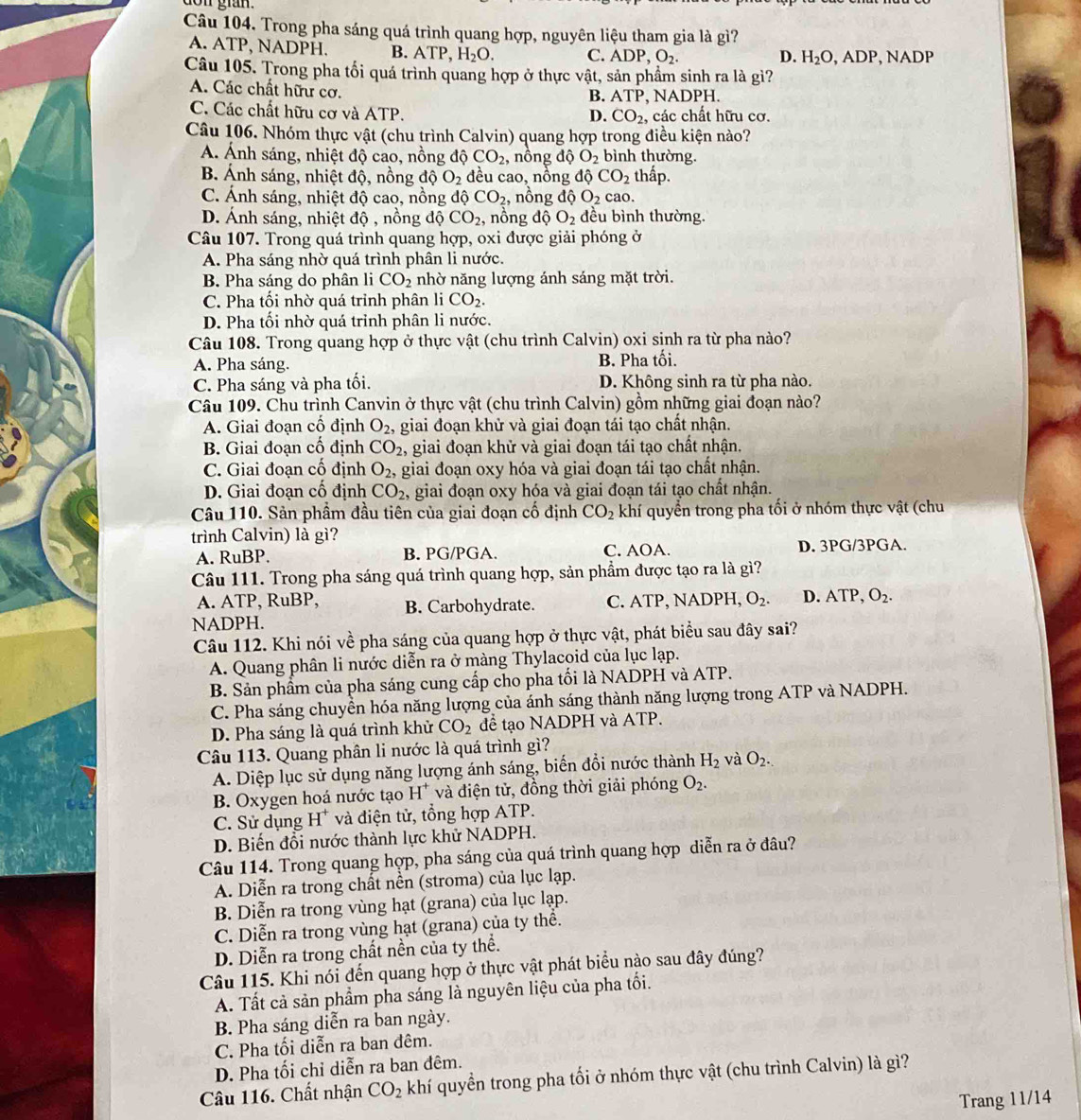 don gran.
Câu 104, Trong pha sáng quá trình quang hợp, nguyên liệu tham gia là gì?
A. ATP, NADPH. B. ATP, H_2O. C. ADP,O_2.
D. H_2O,ADP,NADH
Câu 105. Trong pha tối quá trình quang hợp ở thực vật, sản phẩm sinh ra là gì?
A. Các chất hữu cơ. B. ATP, NADPH.
C. Các chất hữu cơ và ATP. các chất hữu cơ.
D. CO_2
Câu 106. Nhóm thực vật (chu trình Calvin) quang hợp trong điều kiện nào?
A. Ánh sáng, nhiệt độ cao, nồng độ CO_2 , nồng độ O_2 bình thường.
B. Ánh sáng, nhiệt độ, nồng độ O_2 đều cao, nồng độ CO_2 thấp.
C. Ánh sáng, nhiệt độ cao, nồng dhat QCO_2, , nồng độ O_2 cao.
D. Ánh sáng, nhiệt độ , nồng d CO_2, , nồng độ O_2 đều bình thường.
Câu 107. Trong quá trình quang hợp, oxi được giải phóng ở
A. Pha sáng nhờ quá trình phân li nước.
B. Pha sáng do phân li CO_2 nhờ năng lượng ánh sáng mặt trời.
C. Pha tối nhờ quá trỉnh phân li CO_2.
D. Pha tối nhờ quá trỉnh phân li nước.
Câu 108. Trong quang hợp ở thực vật (chu trình Calvin) oxi sinh ra từ pha nào?
A. Pha sáng. B. Pha tối.
C. Pha sáng và pha tối. D. Không sinh ra từ pha nào.
Câu 109. Chu trình Canvin ở thực vật (chu trình Calvin) gồm những giai đoạn nào?
A. Giai đoạn cố định O_2 , giai đoạn khử và giai đoạn tái tạo chất nhận.
B. Giai đoạn cố định CO_2 , giai đoạn khử và giai đoạn tái tạo chất nhận.
C. Giai đoạn cố định O_2 , giai đoạn oxy hóa và giai đoạn tái tạo chất nhận.
D. Giai đoạn cố định CO_2 , giai đoạn oxy hóa và giai đoạn tái tạo chất nhận.
Câu 110. Sản phẩm đầu tiên của giai đoạn cố định CO_2 khí quyển trong pha tối ở nhóm thực vật (chu
trình Calvin) là gì?
A. Ru BP B. PG/PGA. C. AOA. D. 3PG/3PGA.
Câu 111. Trong pha sáng quá trình quang hợp, sản phẩm được tạo ra là gì?
A. ATP, RuBP, B. Carbohydrate. C. ATP, NADPH, O_2. D. ATP,O_2.
NADPH.
Câu 112. Khi nói về pha sáng của quang hợp ở thực vật, phát biểu sau đây sai?
A. Quang phân li nước diễn ra ở màng Thylacoid của lục lạp.
B. Sản phầm của pha sáng cung cấp cho pha tối là NADPH và ATP.
C. Pha sáng chuyển hóa năng lượng của ánh sáng thành năng lượng trong ATP và NADPH.
D. Pha sáng là quá trình khử CO_2 để tạo NADPH và ATP.
Câu 113. Quang phân li nước là quá trình gì?
A. Diệp lục sử dụng năng lượng ánh sáng, biển đổi nước thành H_2 và O_2.
B. Oxygen hoá nước tạo H* và điện tử, đồng thời giải phóng O_2.
C. Sử dụng H^+ và điện tử, tổng hợp ATP.
D. Biến đổi nước thành lực khử NADPH.
Câu 114. Trong quang hợp, pha sáng của quá trình quang hợp diễn ra ở đâu?
A. Diễn ra trong chất nền (stroma) của lục lạp.
B. Diễn ra trong vùng hạt (grana) của lục lạp.
C. Diễn ra trong vùng hạt (grana) của ty thể.
D. Diễn ra trong chất nền của ty thể.
Câu 115. Khi nói đến quang hợp ở thực vật phát biểu nào sau đây đúng?
A. Tất cả sản phẩm pha sáng là nguyên liệu của pha tối.
B. Pha sáng diễn ra ban ngày.
C. Pha tối diễn ra ban đêm.
D. Pha tối chỉ diễn ra ban đêm.
Câu 116. Chất nhận CO_2 khí quyền trong pha tối ở nhóm thực vật (chu trình Calvin) là gì?
Trang 11/14