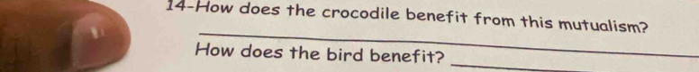 14-How does the crocodile benefit from this mutualism? 
_ 
_ 
How does the bird benefit?