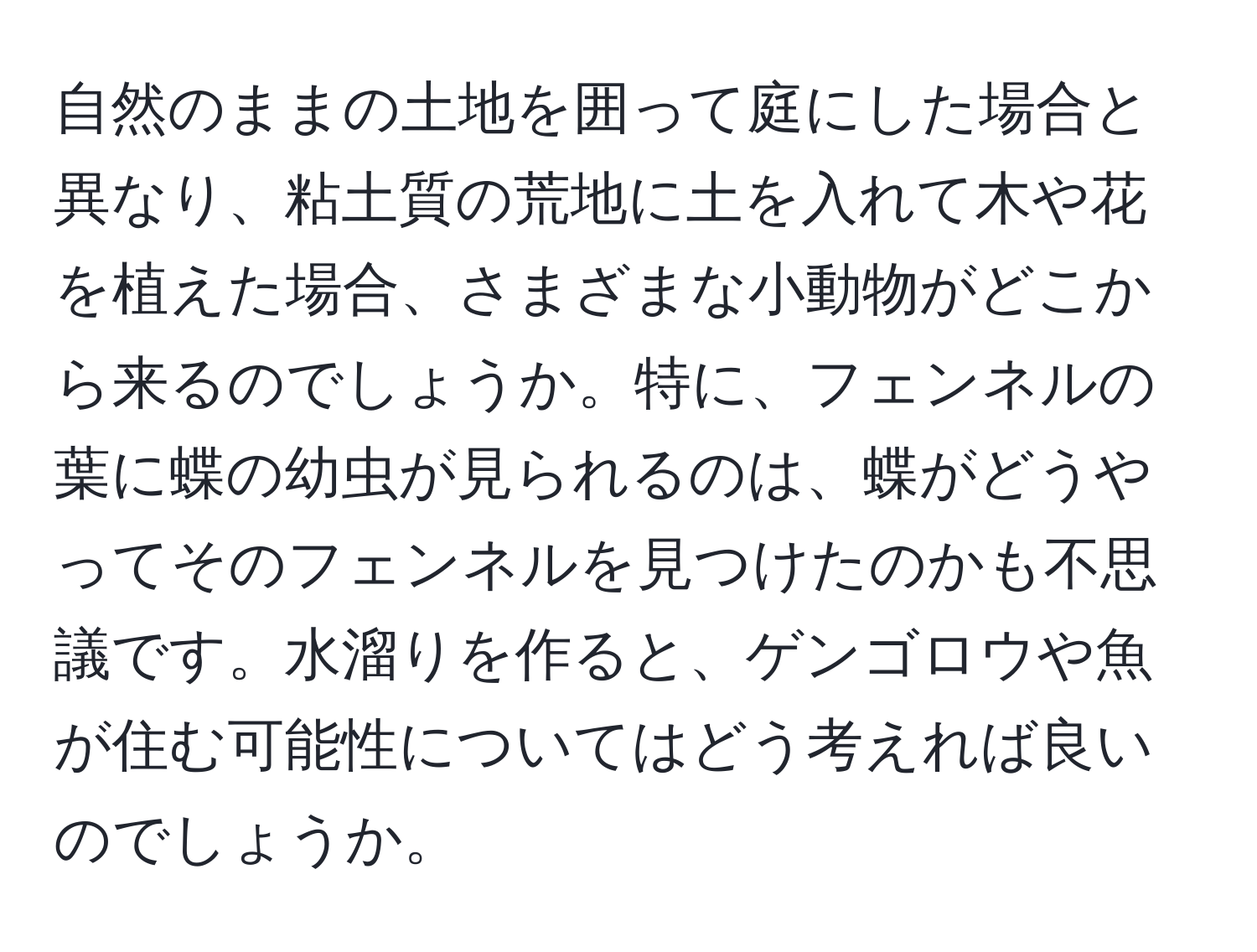 自然のままの土地を囲って庭にした場合と異なり、粘土質の荒地に土を入れて木や花を植えた場合、さまざまな小動物がどこから来るのでしょうか。特に、フェンネルの葉に蝶の幼虫が見られるのは、蝶がどうやってそのフェンネルを見つけたのかも不思議です。水溜りを作ると、ゲンゴロウや魚が住む可能性についてはどう考えれば良いのでしょうか。