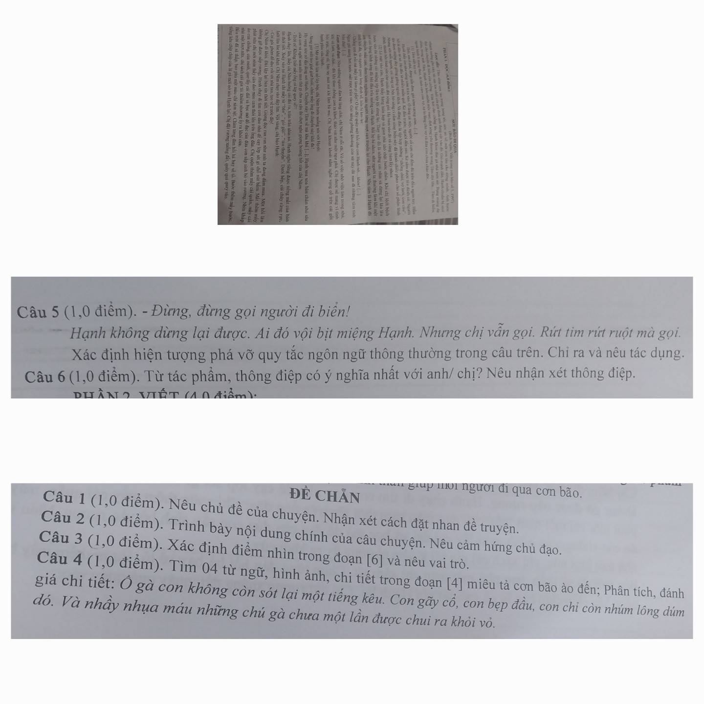 (1,0 điểm). - Đừng, đừng gọi người đi biển! 
Hạnh không dừng lại được. Ai đó vội bịt miệng Hạnh. Nhưng chị vẫn gọi. Rứt tim rứt ruột mà gọi. 
Xác định hiện tượng phá vỡ quy tắc ngôn ngữ thông thường trong câu trên. Chỉ ra và nêu tác dụng. 
Câu 6 (1,0 điểm). Từ tác phẩm, thông điệp có ý nghĩa nhất với anh/ chị? Nêu nhận xét thông điệp. 
RhàN2 Vết (40 điểm) 
đẻ Chẵn 
giup mồi người đi qua cơn bão. 
Câu 1 (1,0 điểm). Nêu chủ đề của chuyện. Nhận xét cách đặt nhan đề truyện. 
Câu 2 (1,0 điểm). Trình bày nội dung chính của câu chuyện. Nêu cảm hứng chủ đạo. 
Câu 3 (1,0 điểm). Xác định điểm nhìn trong đoạn [6] và nêu vai trò. 
Câu 4 (1,0 điểm). Tìm 04 từ ngữ, hình ảnh, chi tiết trong đoạn [4] miêu tả cơn bão ào đến; Phân tích, đánh 
giá chi tiết: Ô gà con không còn sót lại một tiếng kêu. Con gãy cổ, con bẹp đầu, con chi còn nhúm lông dúm 
dó. Và nhầy nhụa máu những chú gà chưa một lần được chui ra khỏi vỏ.
