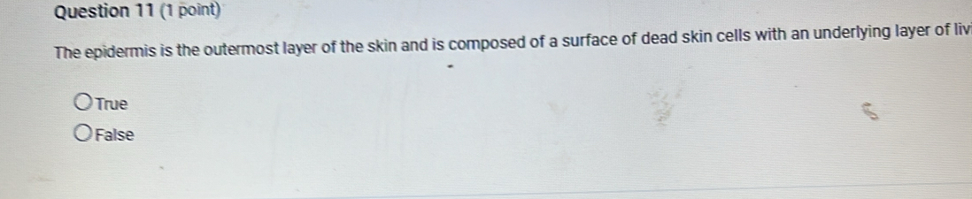 The epidermis is the outermost layer of the skin and is composed of a surface of dead skin cells with an underlying layer of liv
True
False
