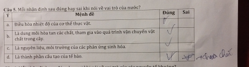 ề vai trò của nước?