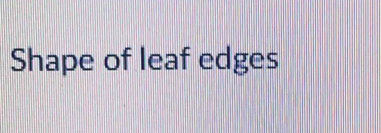 Shape of leaf edges