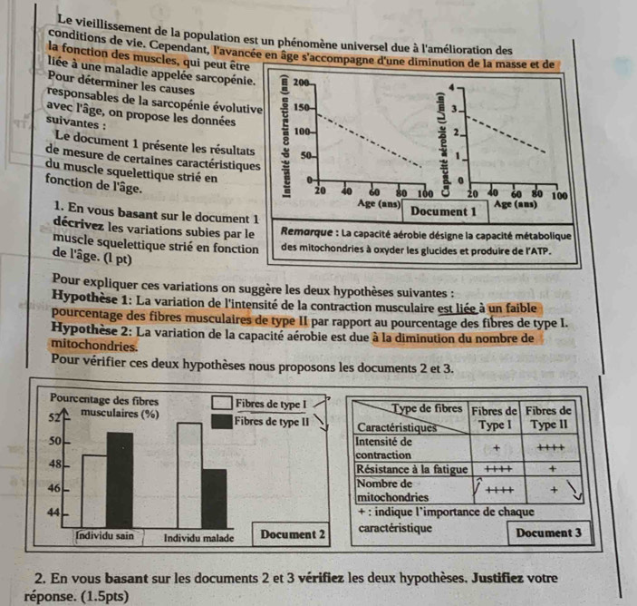 Le vieillissement de la population est un phénomène universel due à l'amélioration des
conditions de vie. Cependant, l'avancée en âge s'accompagne d'une diminution de la masse et de
la fonction des muscles, qui peut être
liée à une maladie appelée sarcopénie. 200
Pour déterminer les causes
4
responsables de la sarcopénie évolutive 150
avec l'âge, on propose les données
suivantes :
100 z 3.
2.
Le document 1 présente les résultats 50
1
de mesure de certaines caractéristiques
du muscle squelettique strié en 20 40 80 100 20 40 60 8o 100
0
fonction de l'âge.
Age (ans)
1. En vous basant sur le document 1 Document 1 Age (ans)
décrivez les variations subies par le   Remorque : La capacité aérobie désigne la capacité métabolique
muscle squelettique strié en fonction des mitochondries à oxyder les glucides et produire de l'ATP.
de l'âge. (l pt)
Pour expliquer ces variations on suggère les deux hypothèses suivantes :
Hypothèse 1: La variation de l'intensité de la contraction musculaire est liée à un faible
pourcentage des fibres musculaires de type II par rapport au pourcentage des fibres de type I.
Hypothèse 2: La variation de la capacité aérobie est due à la diminution du nombre de
mitochondries.
Pour vérifier ces deux hypothèses nous proposons les documents 2 et 3.
Type de fibres Fibres de Fibres de
Caractéristiques Type I Type II
Intensité de +
contraction
Résistance à la fatigue + +
Nombre de
+
mitochondries
+ : indique l’importance de chaque
caractéristique Document 3
2. En vous basant sur les documents 2 et 3 vérifiez les deux hypothèses. Justifiez votre
réponse. (1.5pts)