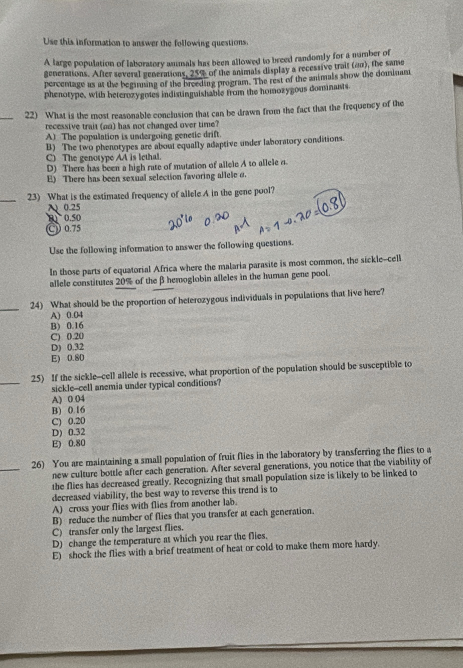 Use this information to answer the following questions,
A large population of laboratory anmals has been allowed to breed randomly for a number of
generations. After several generations, 25% of the animals display a recessive trait (πα), the same
percentage as at the beginning of the breeding program. The rest of the animals show the dominant
phenotype, with heterozygotes indistinguishable from the homozygous dominants.
_22) What is the most reasonable conclusion that can be drawn from the fact that the frequency of the
recessive trait (ωα) has not changed over time?
A) The population is undergoing genetic drift.
B) The two phenotypes are about equally adaptive under laboratory conditions.
C) The genotype AA is lethal.
D) There has been a high rate of mutation of allele A to allele d
E) There has been sexual selection favoring allele θ
_23) What is the estimated frequency of allele A in the gene pool?
λ 0.25
B 0.50
C 0.75
Use the following information to answer the following questions.
In those parts of equatorial Africa where the malaria parasite is most common, the sickle--cell
allele constitutes 20% of the β hemoglobin alleles in the human gene pool.
_24) What should be the proportion of heterozygous individuals in populations that live here?
A) 0.04
B) 0.16
C) 0.20
D) 0.32
E) 0.80
_25) If the sickle--cell allele is recessive, what proportion of the population should be susceptible to
sickle--cell anemia under typical conditions?
A) 0.04
B) 0.16
C) 0.20
D) 0.32
E) 0.80
_
26) You are maintaining a small population of fruit flies in the laboratory by transferring the flies to a
new culture bottle after each generation. After several generations, you notice that the viability of
the flies has decreased greatly. Recognizing that small population size is likely to be linked to
decreased viability, the best way to reverse this trend is to
A) cross your flies with flies from another lab.
B) reduce the number of flies that you transfer at each generation.
C) transfer only the largest flies.
D) change the temperature at which you rear the flies.
E) shock the flies with a brief treatment of heat or cold to make them more hardy.