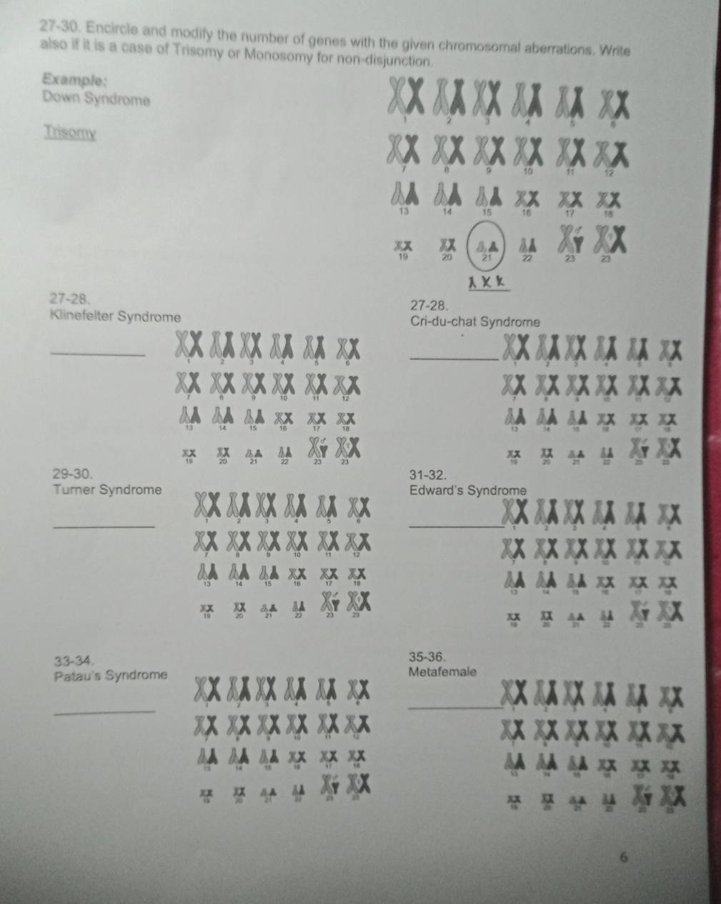 27-30. Encircle and modify the number of genes with the given chromosomal aberrations. Write 
also if it is a case of Trisomy or Monosomy for non-disjunction. 
Example: 
Down Syndrome 
Trisomy
13 14 15
xx
19 20 21 23 23
1
27 - 28. 27 - 28. 
Klinefelter Syndrome Cri-du-chat Syndrome 
_ 
_ 
29-30. 31 -32. 
Turner Syndrome Edward's Syndrome 
_ 
_ 
33-34. 
35-36. 
Patau's Syndrome Metafemale 
_ 
_