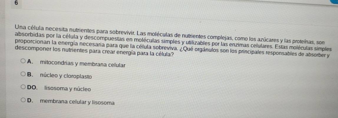 Una célula necesita nutrientes para sobrevivir. Las moléculas de nutrientes complejas, como los azúcares y las proteínas, son
absorbidas por la célula y descompuestas en moléculas simples y utilizables por las enzimas celulares. Estas moléculas simples
proporcionan la energía necesaria para que la célula sobreviva. ¿Qué orgánulos son los principales responsables de absorber y
descomponer los nutrientes para crear energía para la célula?
A. mitocondrias y membrana celular
B. núcleo y cloroplasto
DO. lisosoma y núcleo
D. membrana celular y lisosoma