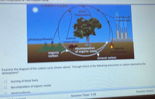 Solved: Examine the diagram of the carbon cycle shown above. Through ...
