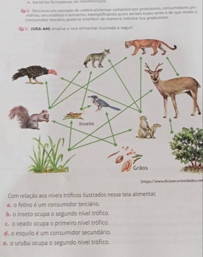 a ctérias formadoras de metilmercurio.
2. Descreva um exemplo de cadeia alimentar composta por produtores, consumidores pri-
mários, secundários e terciários, exemplificando quais seriam esses seres e de que modo o
consumidor terciário poderia interferir de maneira indireta nos produtores.
3. (UEA-AM) Analise a teia alimentar ilustrada a seguir.
(https://www.dicasecuriosidades.net
Com relação aos níveis tróficos ilustrados nessa teia alimentar,
a o felino é um consumidor terciário.
b. o inseto ocupa o segundo nível trófico.. o veado ocupa o primeiro nível trófico.
de o esquilo é um consumidor secundário.
e o urubu ocupa o segundo nível trófico.