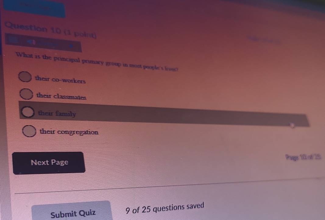 wa
What is the principal primary group in most poople's lives?
their co-workers
their classmates
their family
their congregation
Next Page Page: 10 of 25
Submit Quiz 9 of 25 questions saved