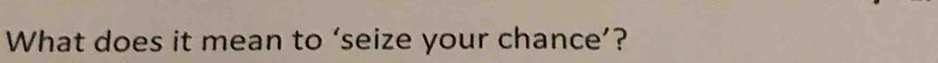 What does it mean to ‘seize your chance’?