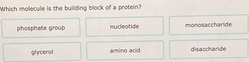 Which molecule is the building block of a protein?
phosphate group nucleotide monosaccharide
glycerol amino acid disaccharide