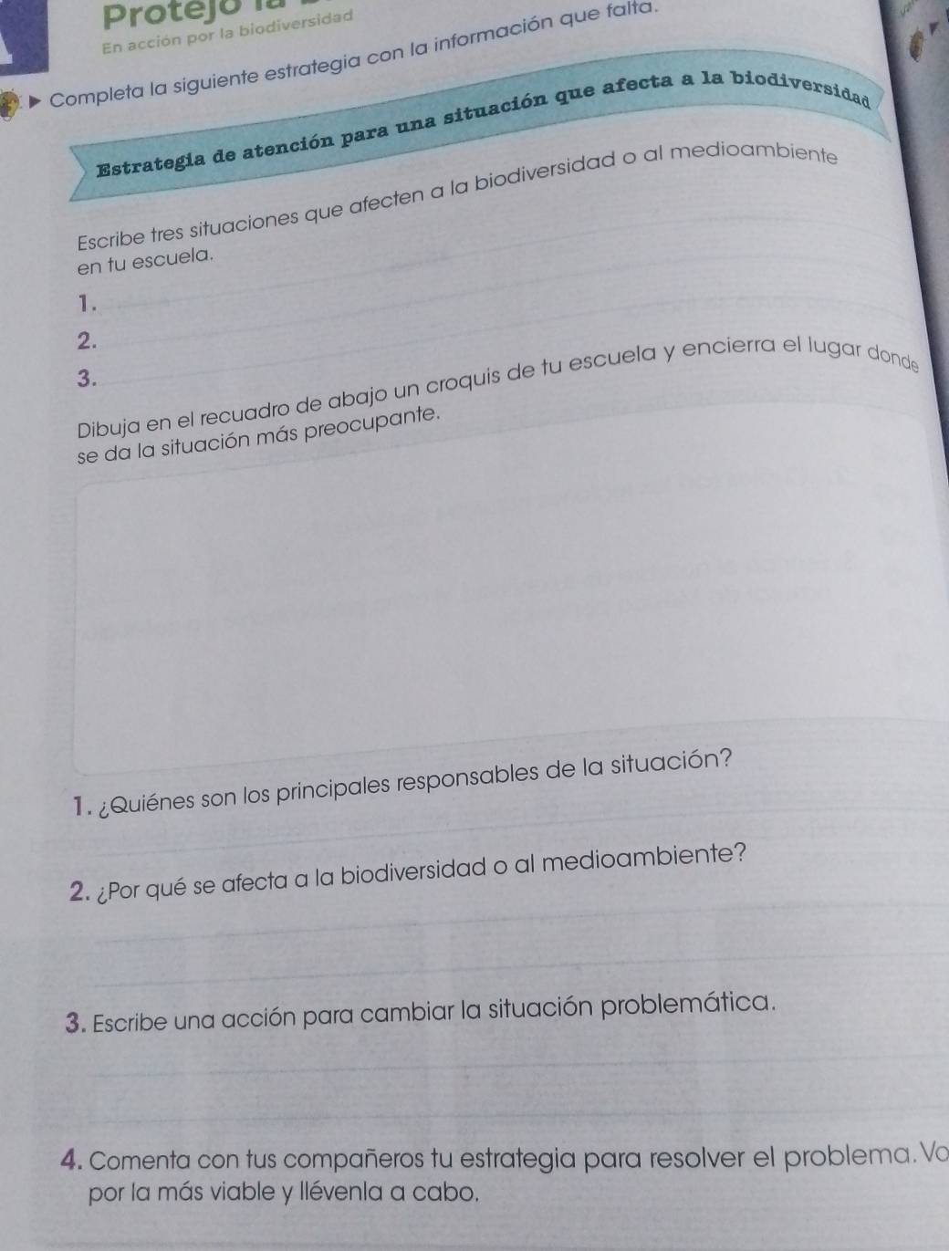 Protejo 
En acción por la biodiversidad 
Completa la siguiente estrategia con la información que falta 
Estrategia de atención para una situación que afecta a la biodiversidad 
Escribe tres situaciones que afecten a la biodiversidad o al medioambiente 
en tu escuela. 
1. 
_ 
2. 
3. 
Dibuja en el recuadro de abajo un croquis de tu escuela y encierra el lugar donde 
se da la situación más preocupante. 
_ 
1. ¿Quiénes son los principales responsables de la situación? 
_ 
2. ¿Por qué se afecta a la biodiversidad o al medioambiente? 
_ 
3. Escribe una acción para cambiar la situación problemática. 
_ 
_ 
_ 
4. Comenta con tus compañeros tu estrategia para resolver el problema. Vo 
por la más viable y llévenla a cabo.