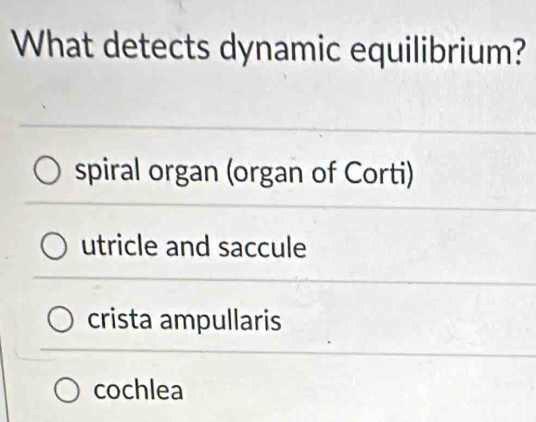 What detects dynamic equilibrium?
spiral organ (organ of Corti)
utricle and saccule
crista ampullaris
cochlea