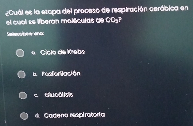 ¿Cuál es la etapa del proceso de respiración aeróbica en
el cual se liberan moléculas de CO_2
Seleccione una:
a. Ciclo de Krebs
b. Fosforilación
Glucólisis
d. Cadena respiratoria