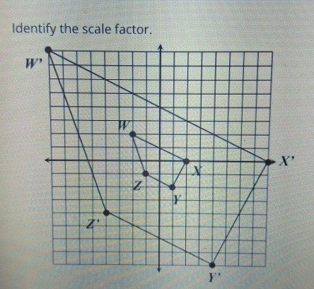 Identify the scale factor.