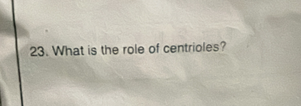 What is the role of centrioles?