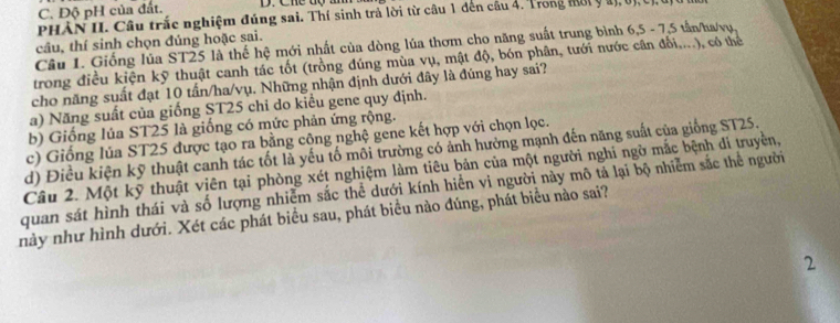 C. Độ pH của đất. D. Chể độ m
PHAN II. Câu trắc nghiệm đúng sai. Thí sinh trả lời từ câu 1 đến câu 4. Trong mội y a), 0ị,t
câu, thí sinh chọn đúng hoặc sai.
Câu 1. Giống lủa ST25 là thế hệ mới nhất của dòng lúa thơm cho năng suất trung bình 6, 5 - 7, 5 tần/ka/vu.
trong điều kiện kỹ thuật canh tác tốt (trồng đúng mùa vụ, mật độ, bón phân, tưới nước cân đối....), có thể
cho năng suất đạt 10 tấn/ha/vụ. Những nhận định dưới đây là đúng hay sai?
a) Năng suất của giống ST25 chi do kiểu gene quy định.
b) Giống lúa ST25 là giống có mức phản ứng rộng.
c) Giống lủa ST25 được tạo ra bằng công nghệ gene kết hợp với chọn lọc.
d) Điều kiện kỹ thuật canh tác tốt là yếu tố môi trường có ảnh hưởng mạnh đến năng suất của giống ST25.
Câu 2. Một kỹ thuật viên tại phòng xét nghiệm làm tiêu bản của một người nghi ngờ mắc bệnh di truyền,
quan sát hình thái và số lượng nhiễm sắc thể dưới kính hiển vi người này mô tả lại bộ nhiễm sắc thể người
này như hình dưới. Xét các phát biểu sau, phát biểu nào đúng, phát biểu nào sai?
2