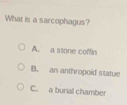 What is a sarcophagus?
A. a stone coffin
B. an anthropoid statue
C. a burial chamber