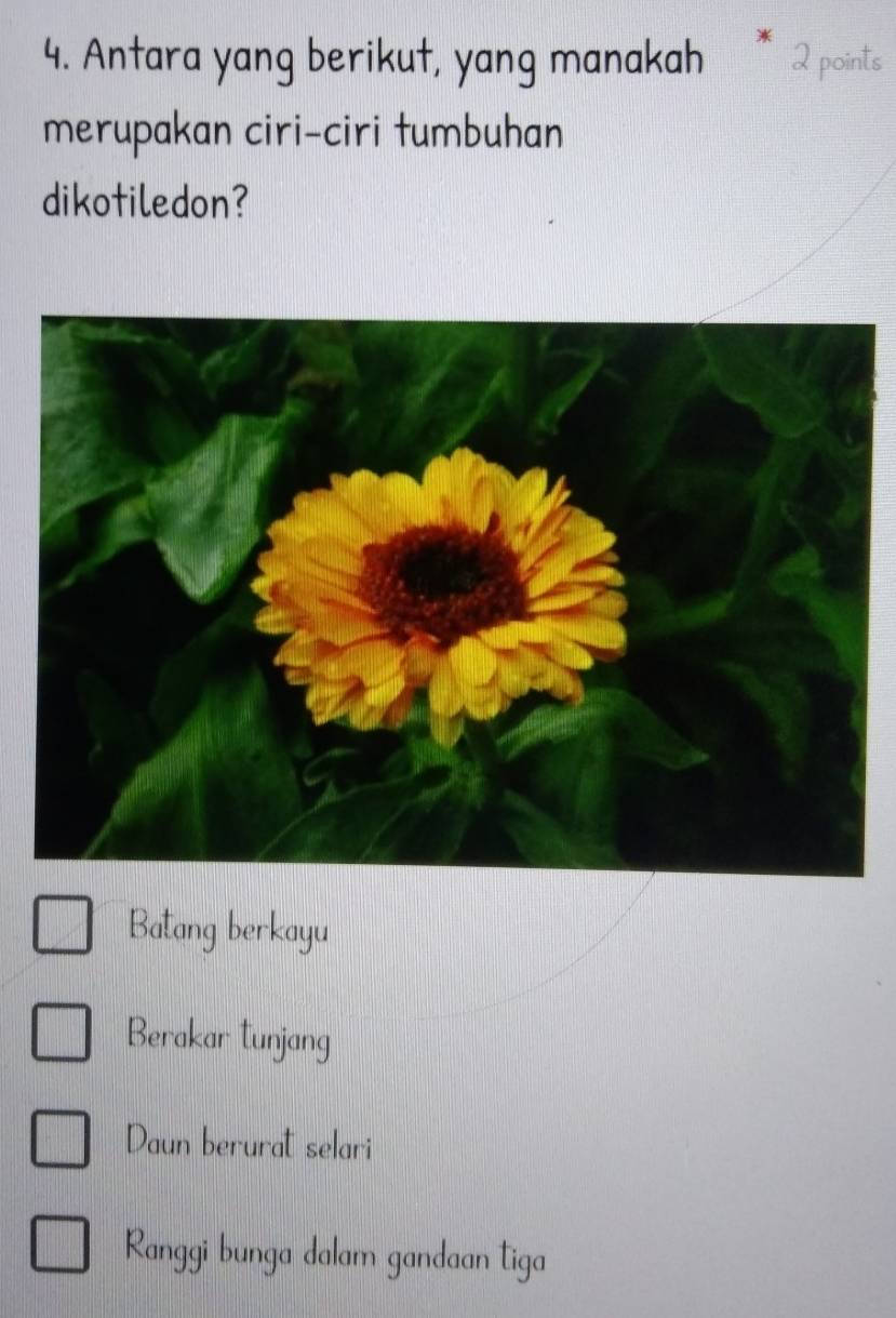 Antara yang berikut, yang manakah * 2 points
merupakan ciri-ciri tumbuhan
dikotiledon?
Batang berkayu
Berakar tunjang
Daun berurat selari
Ranggi bunga dalam gandaan tiga