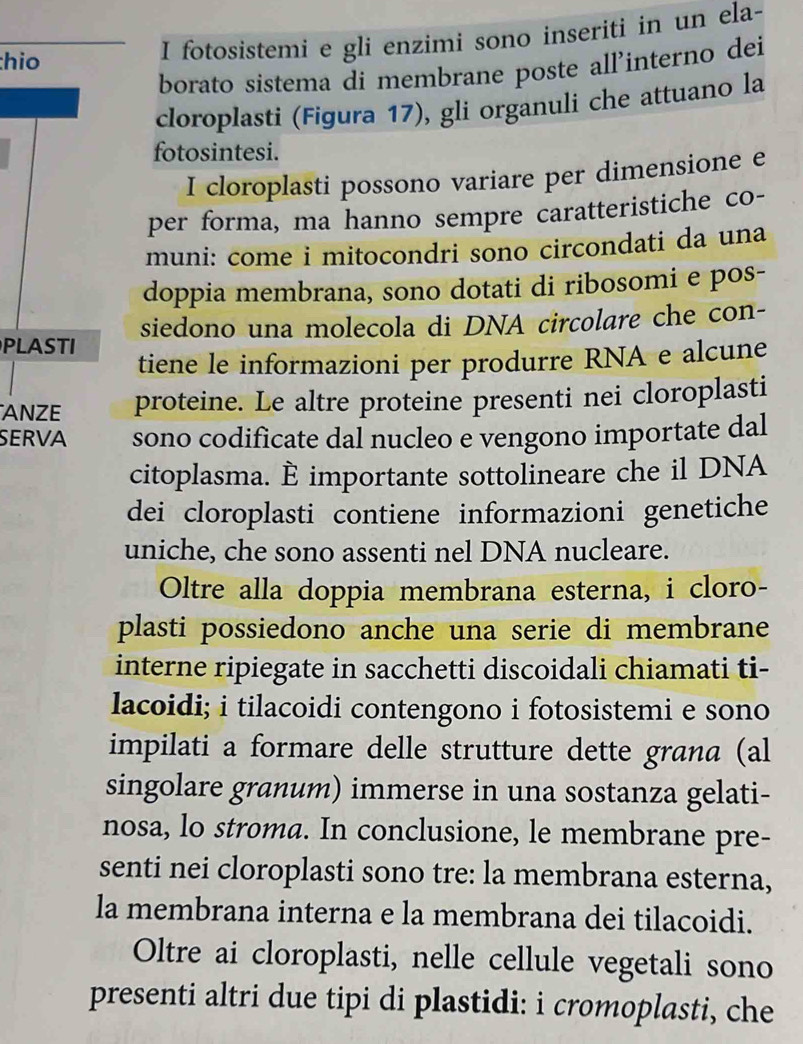 hio 
I fotosistemi e gli enzimi sono inseriti in un ela- 
borato sistema di membrane poste all’interno dei 
cloroplasti (Figura 17), gli organuli che attuano la 
fotosintesi. 
I cloroplasti possono variare per dimensione e 
per forma, ma hanno sempre caratteristiche co- 
muni: come i mitocondri sono circondati da una 
doppia membrana, sono dotati di ribosomi e pos- 
PLASTI siedono una molecola di DNA circolare che con- 
tiene le informazioni per produrre RNA e alcune 
ANZE proteine. Le altre proteine presenti nei cloroplasti 
SERVA sono codificate dal nucleo e vengono importate dal 
citoplasma. È importante sottolineare che il DNA 
dei cloroplasti contiene informazioni genetiche 
uniche, che sono assenti nel DNA nucleare. 
Oltre alla doppia membrana esterna, i cloro- 
plasti possiedono anche una serie di membrane 
interne ripiegate in sacchetti discoidali chiamati ti- 
lacoidi; i tilacoidi contengono i fotosistemi e sono 
impilati a formare delle strutture dette grana (al 
singolare granum) immerse in una sostanza gelati- 
nosa, lo stroma. In conclusione, le membrane pre- 
senti nei cloroplasti sono tre: la membrana esterna, 
la membrana interna e la membrana dei tilacoidi. 
Oltre ai cloroplasti, nelle cellule vegetali sono 
presenti altri due tipi di plastidi: i cromoplasti, che