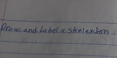 Draw and Label a skelenfon