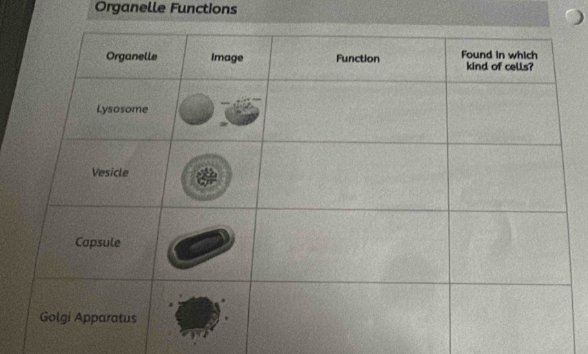 Organelle Functions