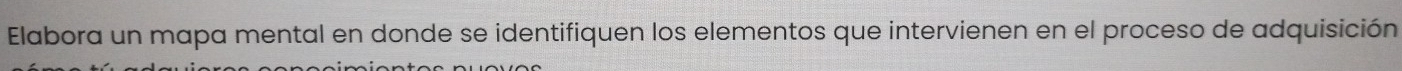 Elabora un mapa mental en donde se identifiquen los elementos que intervienen en el proceso de adquisición
