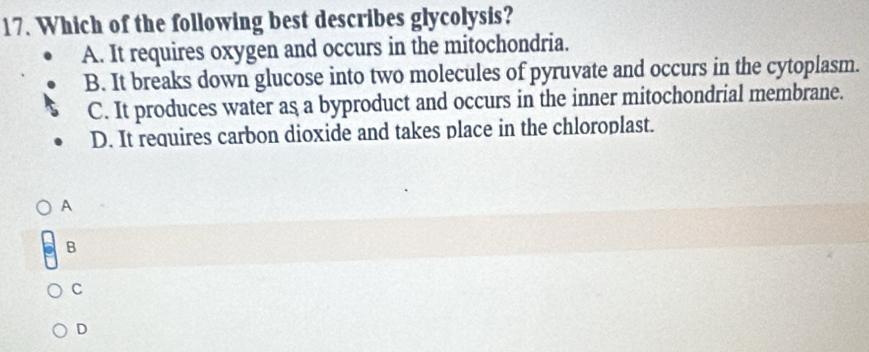 Which of the following best describes glycolysis?
A. It requires oxygen and occurs in the mitochondria.
B. It breaks down glucose into two molecules of pyruvate and occurs in the cytoplasm.
C. It produces water as a byproduct and occurs in the inner mitochondrial membrane.
D. It requires carbon dioxide and takes place in the chloroplast.
A
B
C
D