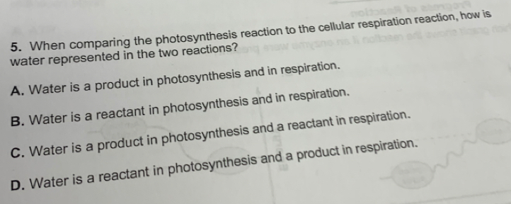 When comparing the photosynthesis reaction to the cellular respiration reaction, how is
water represented in the two reactions?
A. Water is a product in photosynthesis and in respiration.
B. Water is a reactant in photosynthesis and in respiration.
C. Water is a product in photosynthesis and a reactant in respiration.
D. Water is a reactant in photosynthesis and a product in respiration.