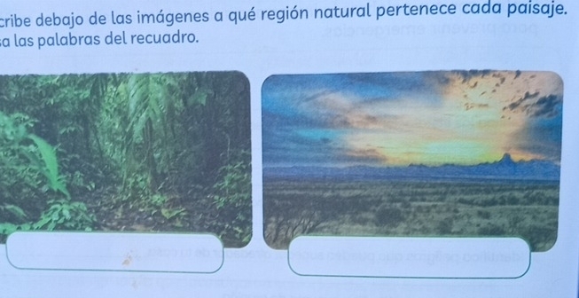 cribe debajo de las imágenes a qué región natural pertenece cada paisaje. 
sɑ las palabras del recuadro.