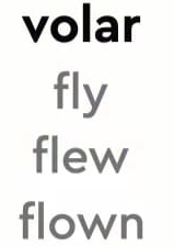 volar 
fly 
flew 
flown