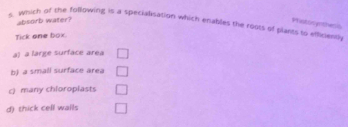absorb water?
Pristosynthesis
s. Which of the following is a specialisation which enables the roots of plants to efficiently
Tick one box.
a) a large surface area
b) a small surface area
c) many chloroplasts
d) thick cell walls