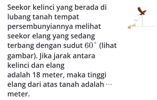 Seekor kelinci yang berada di 
lubang tanah tempat 
persembunyiannya melihat 
seekor elang yang sedang 
terbang dengan sudut 60° (lihat 
gambar). Jika jarak antara 
kelinci dan elang 
adalah 18 meter, maka tinggi 
elang dari atas tanah adalah ··· 
meter.