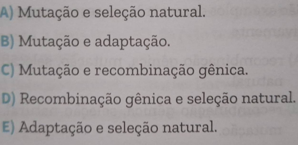 A) Mutação e seleção natural.
B) Mutação e adaptação.
C) Mutação e recombinação gênica.
D) Recombinação gênica e seleção natural.
E) Adaptação e seleção natural.