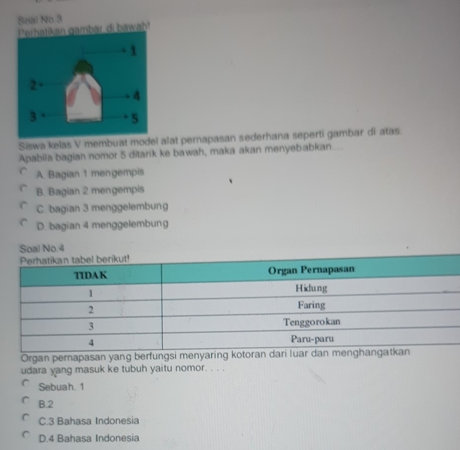 Seal No 3
gambar di bawah!
Siswa kelas V membuat model alat pernapasan sederhana seperti gambar di atas.
Apabila bagian nomor 5 ditarik ke bawah, maka akan menyebabkan....
A. Bagian 1 mengempis
B. Bagian 2 mengempis
C. bagian 3 menggelembung
D. bagian 4 menggelembung
Soal No. 4
Organ pernapasan yang berfungsi meny
udara yang masuk ke tubuh yaitu nomor. . . .
Sebuah. 1
B. 2
C. 3 Bahasa Indonesia
D. 4 Bahasa Indonesia