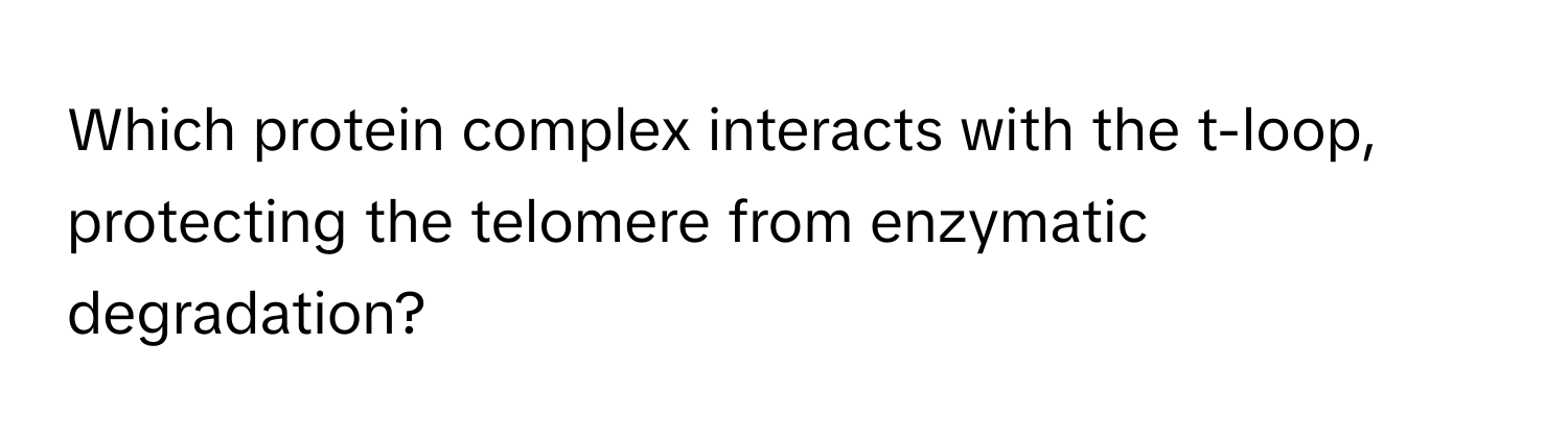 Which protein complex interacts with the t-loop, protecting the telomere from enzymatic degradation?