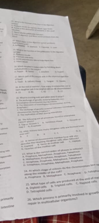 ae t f   t a e 
_
         
_
   
C '  o     te
  
E 1 C aga e ta dpecios sbem pobes
        
            
““
  
   
C s andem k  hlp mtt
- 16. Which eopd in comactin fo borsiig d
x. +egiio & Vama Candes a tpet
] i. sahich part of the msce wd is tee chence agetsn 
i ok ? A. Teet B. Safvery Ghang C. Targom
16. at the and af metosis I haw many ofromahten we is
wahi daughter lak if t've brgoed not hin as comcasmes .
A D B. C 0.13
1 8. what is crorsing ovee and when does it osrar I
. A. The enhungs of gmits maaria itne oon
a ae mg ei
8 The reeactin el somiaguca cmentones torrs

C. De as heee of pte d an  
Umnaronas susing fot ane
E. The ipiration as tus snna o ler phutie
20. The following are all prececes hound as iteratons
1. Geath o
Det weih? 6. Symtacie Phaça
am A Gu of Grorwih s
25. Atm mites han mườg dghten unla see tocimat from
5.3
* “ . . “ 
2. in terms of cheumastrma mumban how will yto
descnie the realing devalter celu after Isoss)
A. Haphold in. twrme as mother ca C o t
Hãng Hàa D. Guarter of the malhor cell
Ae fo 23. What i mhs coreest yeder ofl phases in milton?
A. Frophase, Mrtaphase, Anaphase, Telophase
D. Metaphose, Prophare, Arsphase, Telophase
o C. Anaphase, Pyophase, Mataphase, Telophase
D. Telophase, Anaphase, Metsphone, Frophase
24. Af which stage of mitosis do the chromusomes line up
Reption
slong the middle of the cell? D. Telophs
A. Prophase B. Metaphase C. Anaphase
25. What type of cells are produced at the end of me
A. Diploid cells B. Triploid cells C. Haploid cells
D. Tetraploid cells
primarily
26. Which process is primarily involved in growth
Intestine repair in multicellular organisms?