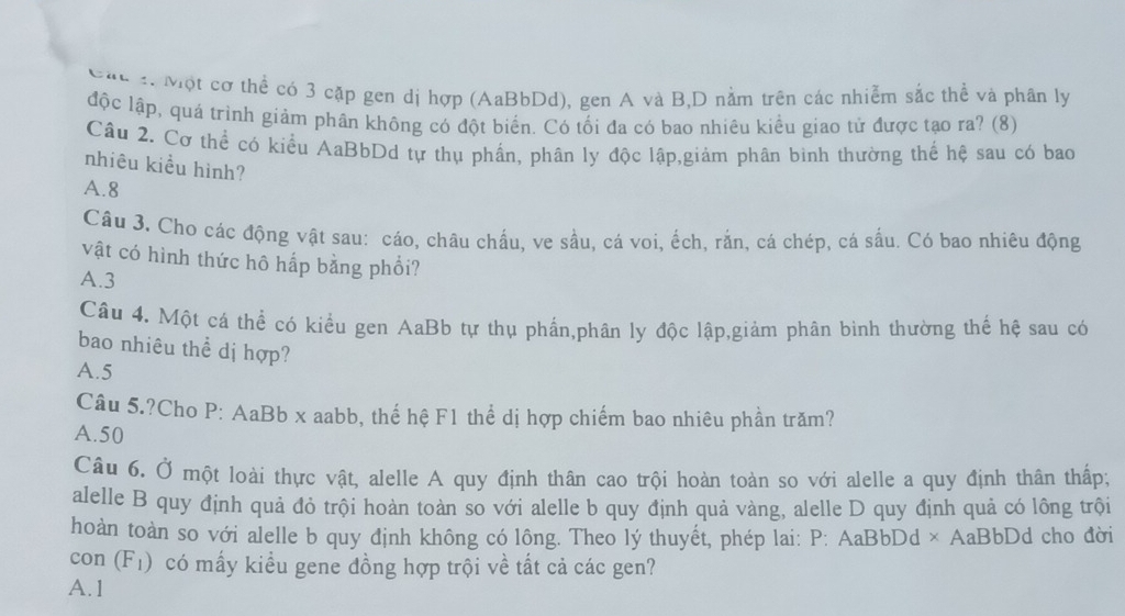 Cáu 1 Một cơ thể có 3 cặp gen dị hợp (AaBbDd), gen A và B,D nằm trên các nhiễm sắc thể và phân ly
độc lập, quá trình giảm phân không có đột biển. Có tối đa có bao nhiêu kiểu giao tử được tạo ra? (8)
Câu 2. Cơ thể có kiểu AaBbDd tự thụ phần, phân ly độc lập,giảm phân bình thường thể hệ sau có bao
nhiêu kiều hình?
A. 8
Câu 3. Cho các động vật sau: cáo, châu chấu, ve sầu, cá voi, ếch, rắn, cá chép, cá sấu. Có bao nhiêu động
vật có hình thức hô hấp bằng phổi?
A. 3
Câu 4. Một cá thể có kiểu gen AaBb tự thụ phần,phân ly độc lập,giảm phân bình thường thế hệ sau có
bao nhiêu thể dị hợp?
A. 5
Câu 5.?Cho P: AaBb x aabb, thể hệ F1 thể dị hợp chiếm bao nhiêu phần trăm?
A. 50
Câu 6. Ở một loài thực vật, alelle A quy định thân cao trội hoàn toàn so với alelle a quy định thân thấp;
alelle B quy định quả đỏ trội hoàn toàn so với alelle b quy định quả vàng, alelle D quy định quả có lông trội
hoàn toàn so với alelle b quy định không có lông. Theo lý thuyết, phép lai: P: AaBbDd × AaBbDd cho đời
con (F_1) có mấy kiểu gene đồng hợp trội về tất cả các gen?
A. 1