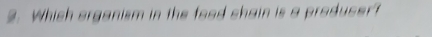 Which organism in the food shain is a produser?