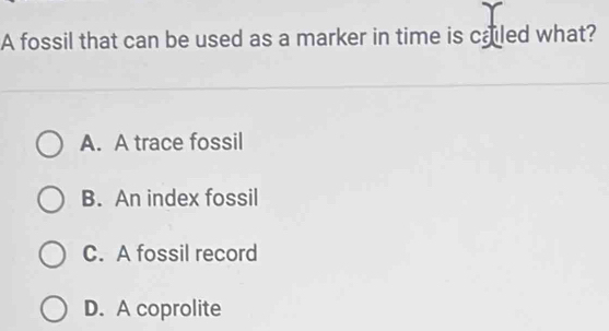 A fossil that can be used as a marker in time is cailed what?
A. A trace fossil
B. An index fossil
C. A fossil record
D. A coprolite