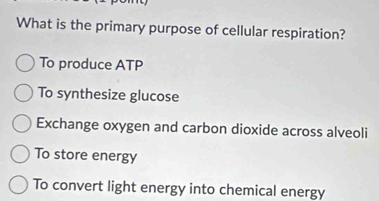 What is the primary purpose of cellular respiration?
To produce ATP
To synthesize glucose
Exchange oxygen and carbon dioxide across alveoli
To store energy
To convert light energy into chemical energy