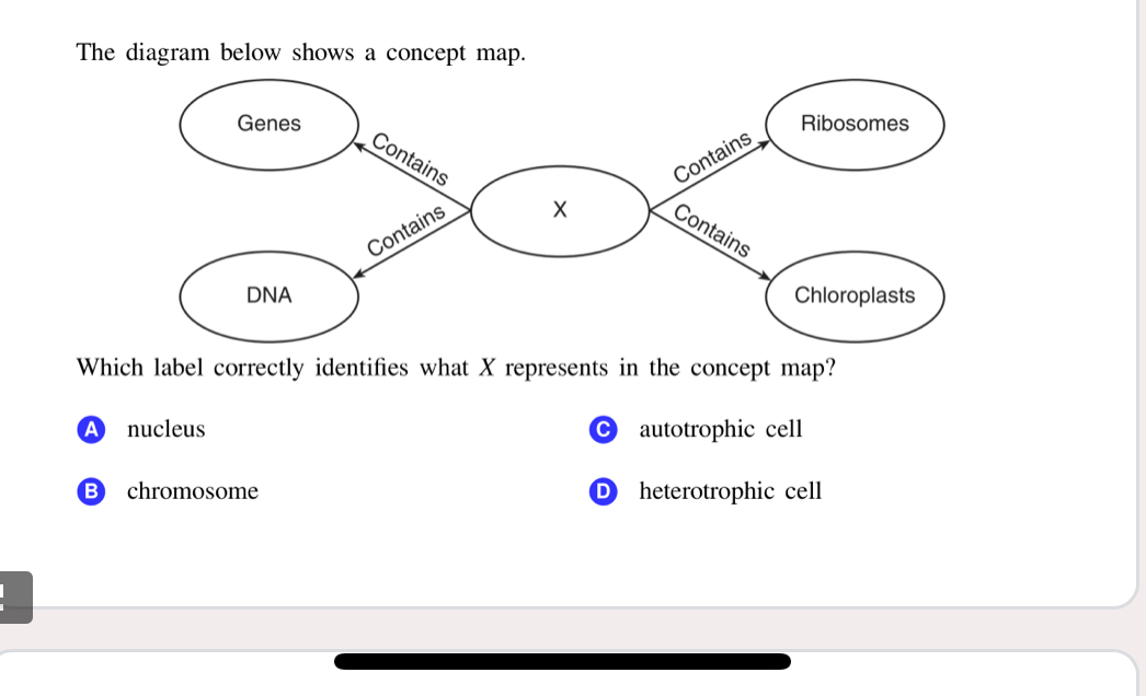 Solved: The diagram below shows a concept map. Which label correctly ...