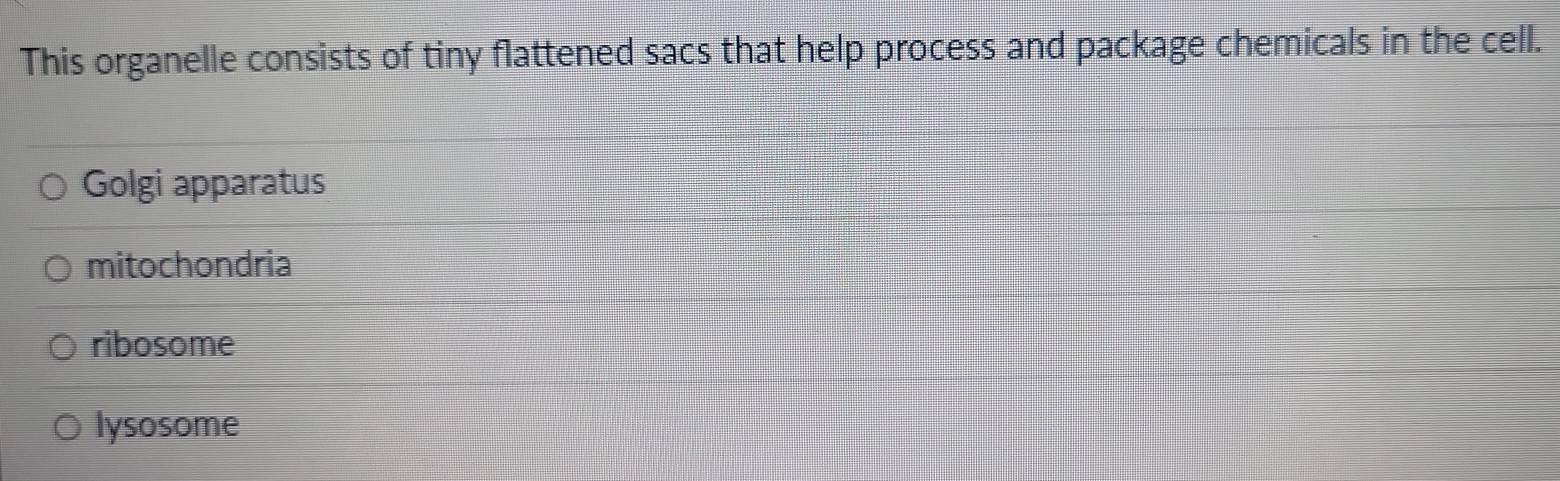 This organelle consists of tiny flattened sacs that help process and package chemicals in the cell.
Golgi apparatus
mitochondria
ribosome
lysosome