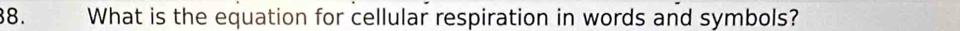 What is the equation for cellular respiration in words and symbols?